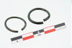 Foto von Bronzering (NHMW-PRAE-025571)